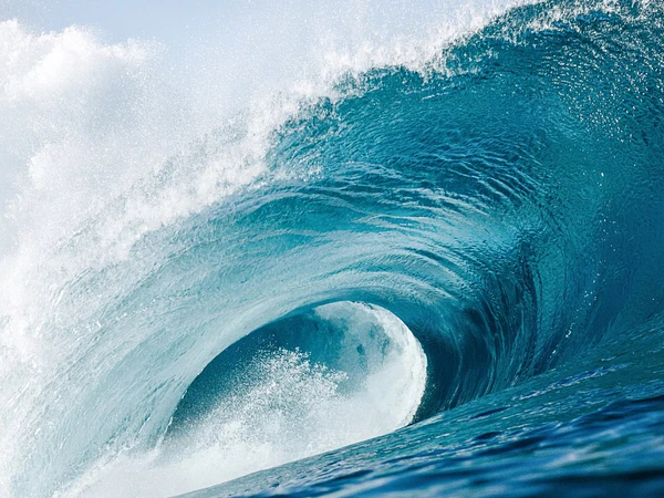Perfumes Aquáticos: Fragrâncias Marinhas e Aromas do Oceano