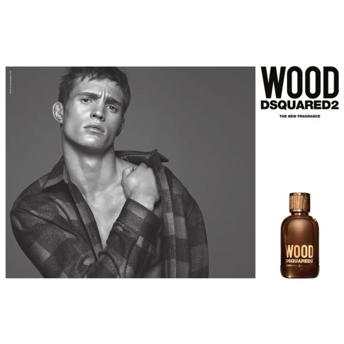 Dsquared2 Wood Pour Homme Eau de Toilette 2