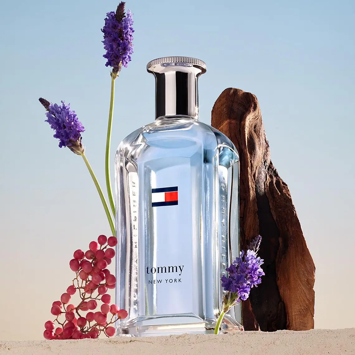 Tommy Hilfiger Tommy New York Man Eau de Toilette 5