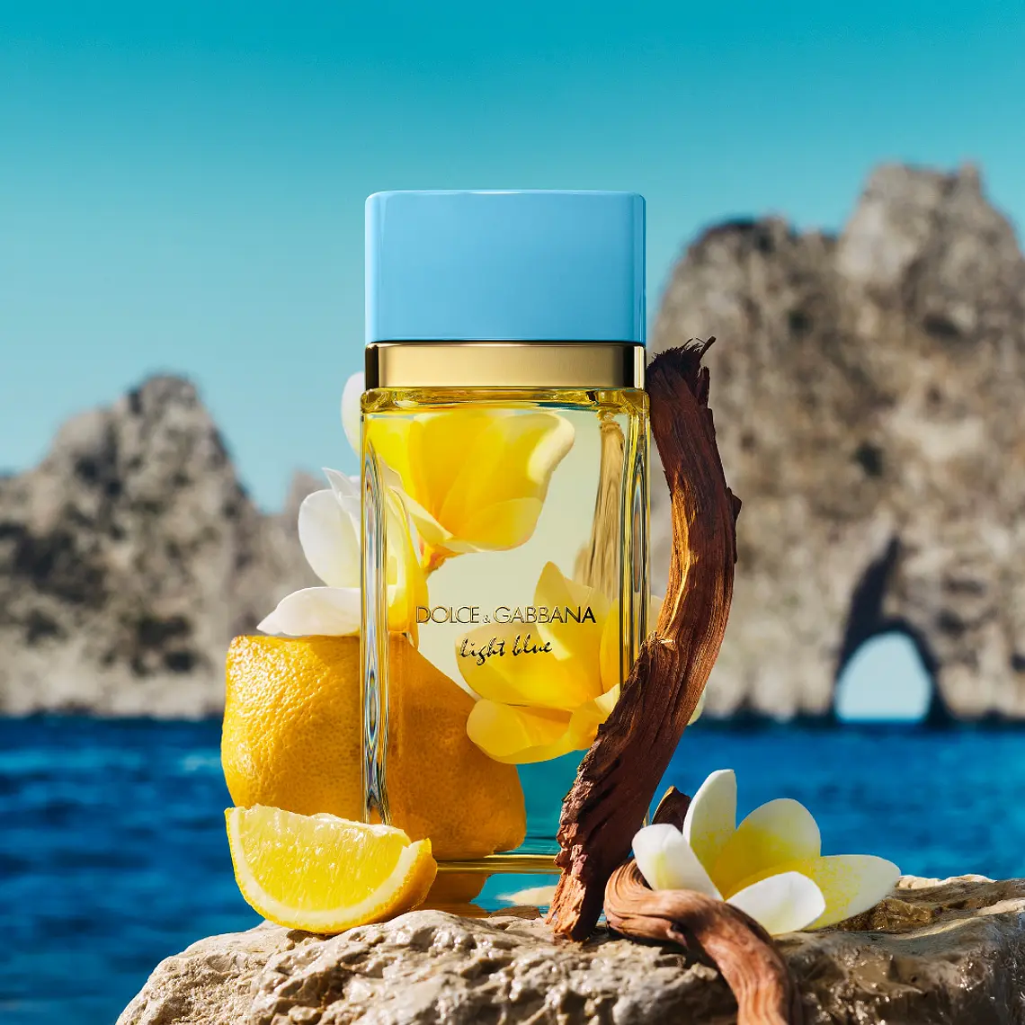 Dolce & Gabbana Light Blue Woman Eau de Parfum 6