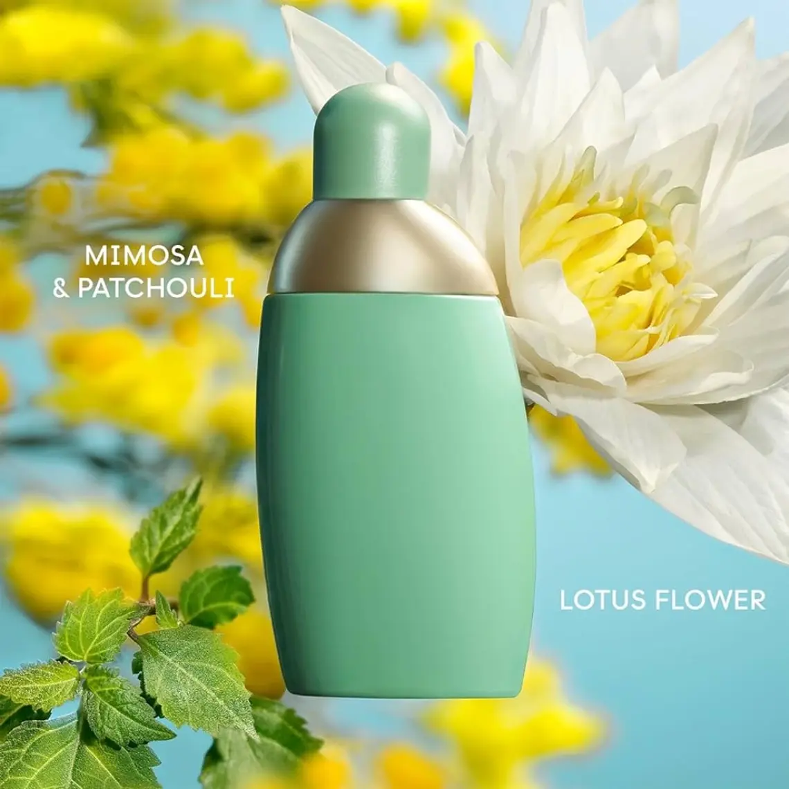 Cacharel Eden Eau de Parfum 5