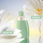 Cacharel Eden Eau de Parfum - Thumbnail 6