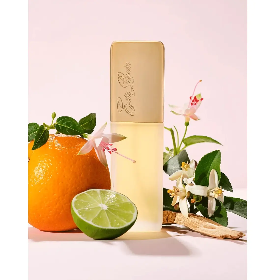 Estée Lauder Private Collection Eau de Parfum 2