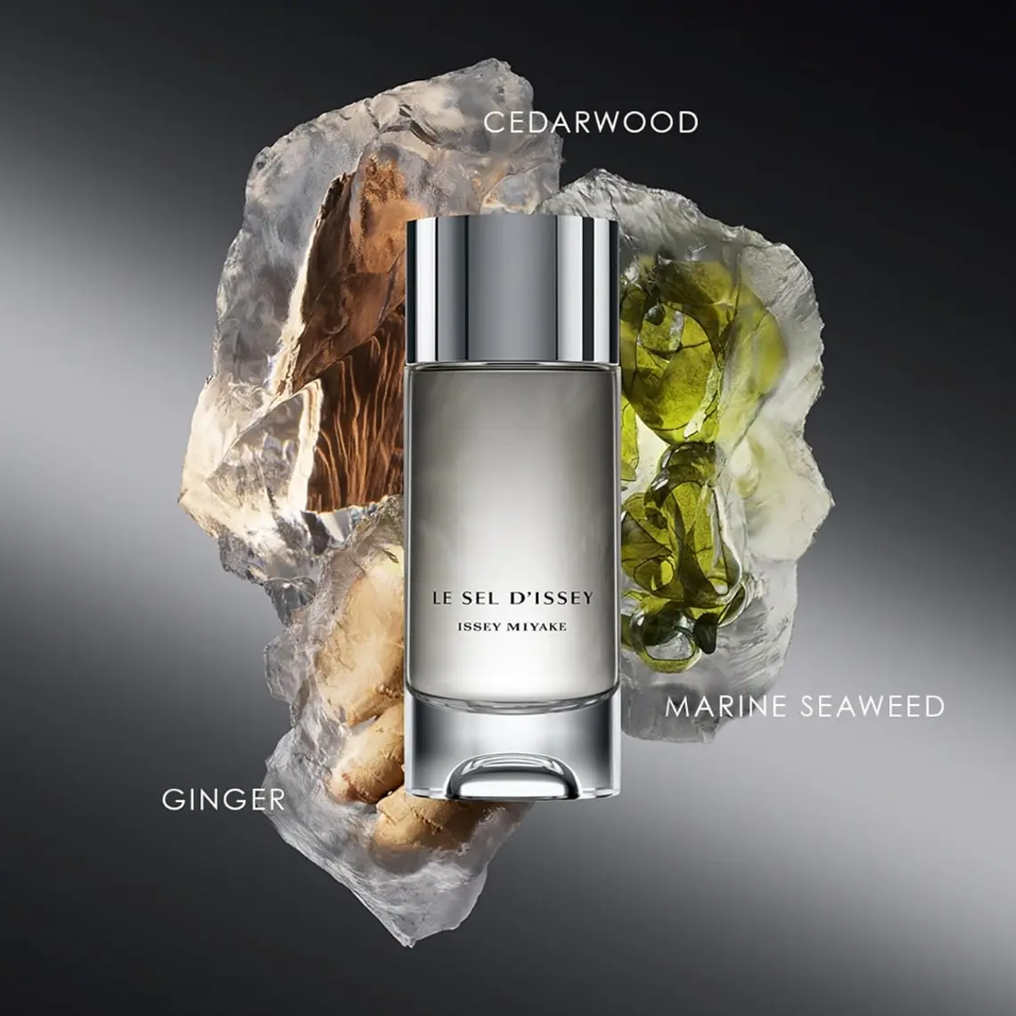 Issey Miyake Le Sel D´Issey Eau de Toilette 5