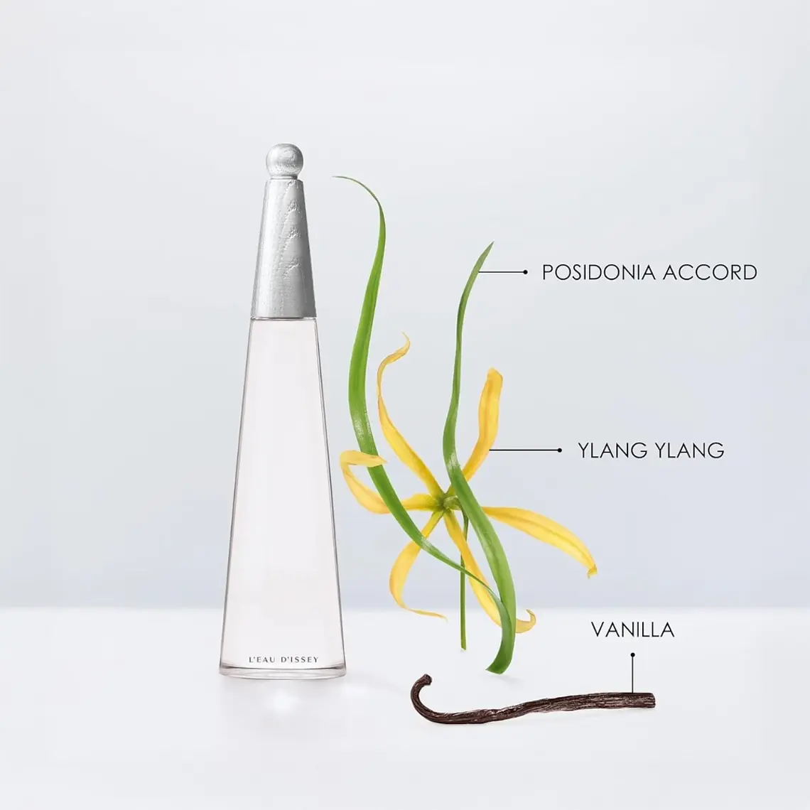 Issey Miyake L'Eau d'Issey Intense Eau de Parfum 4