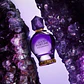 Viktor & Rolf Good Fortune Woman Eau de Parfum - Thumbnail 7