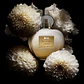 Antonio Banderas Her Golden Secret Eau De Toilette - Thumbnail 5