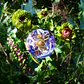 Lolita Lempicka Le Parfum Eau de Parfum - Thumbnail 8
