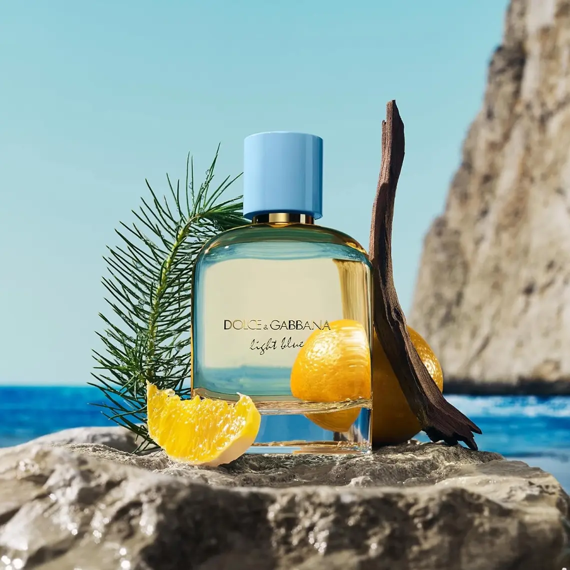 Dolce & Gabbana Light Blue Pour Homme Eau de Parfum 7