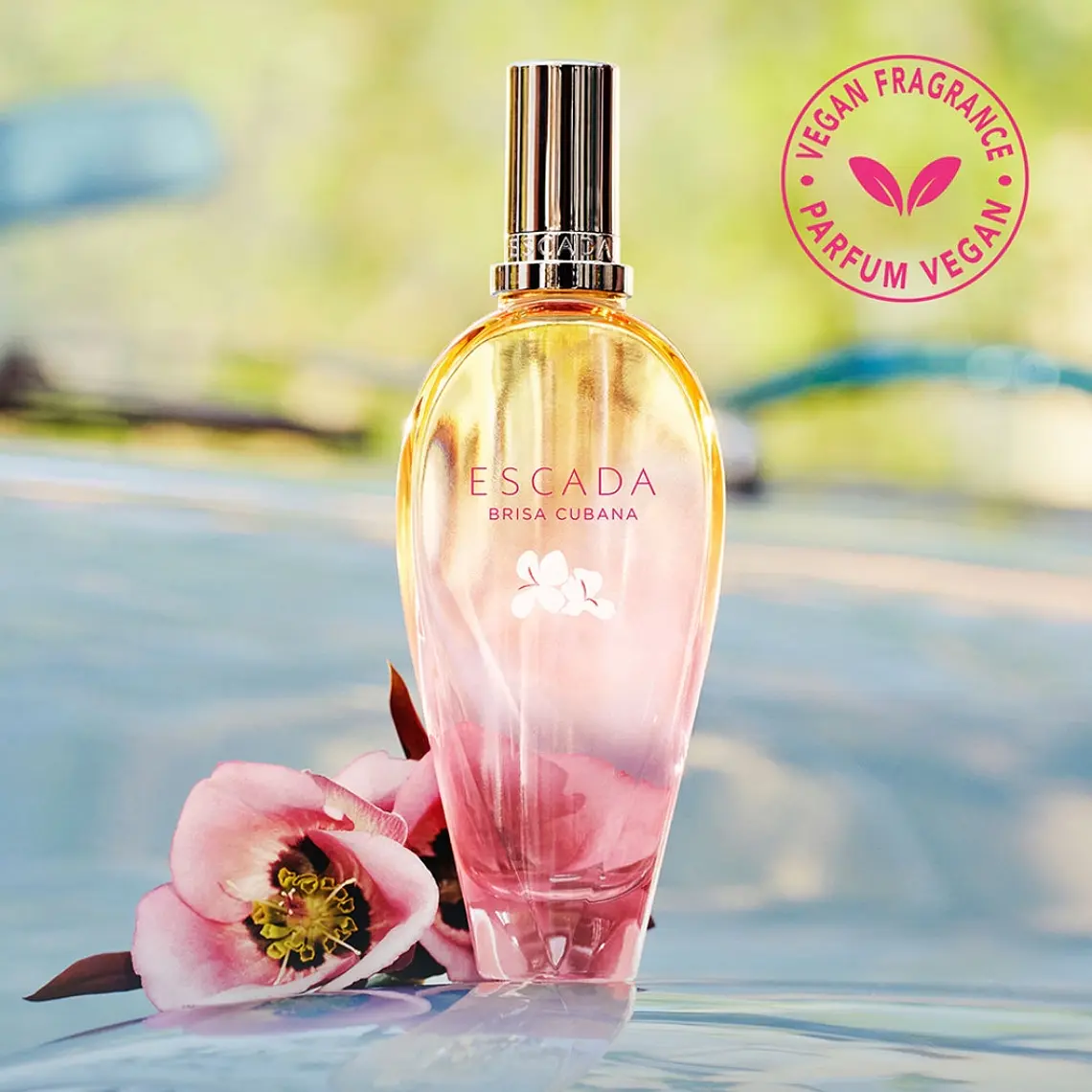 Escada Brisa Cubana Eau de Toilette 5