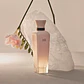 Adolfo Domínguez Nude Musk Eau de Parfum - Thumbnail 3