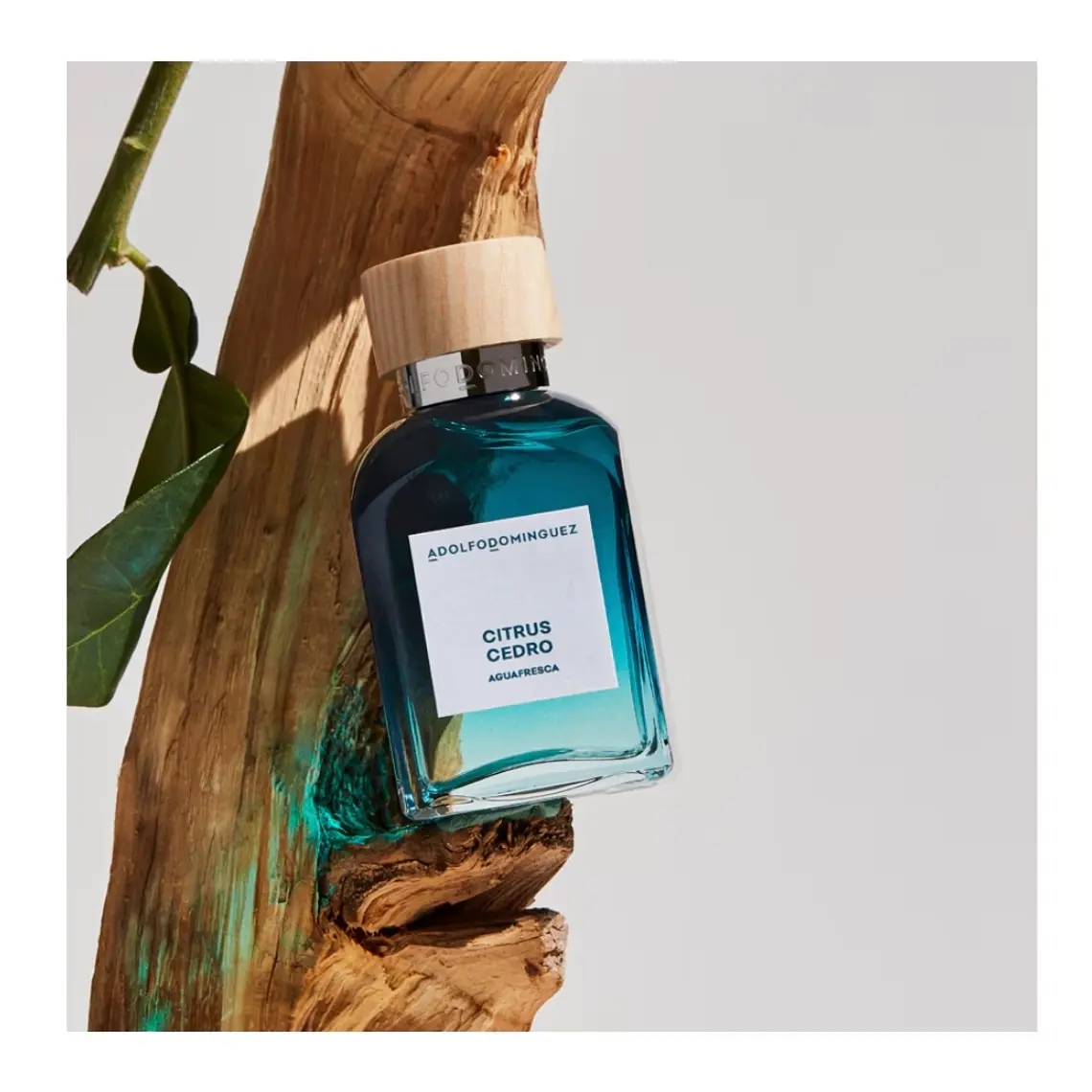 Adolfo Domínguez Agua Fresca Citrus Cedro Eau de Toilette 6