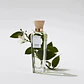 Adolfo Domínguez Agua Fresca de Azahar Eau de Toilette - Thumbnail 6