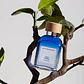 Adolfo Dominguez Agua Fresca Lima Tonka Eau de Toilette  - Thumbnail 2