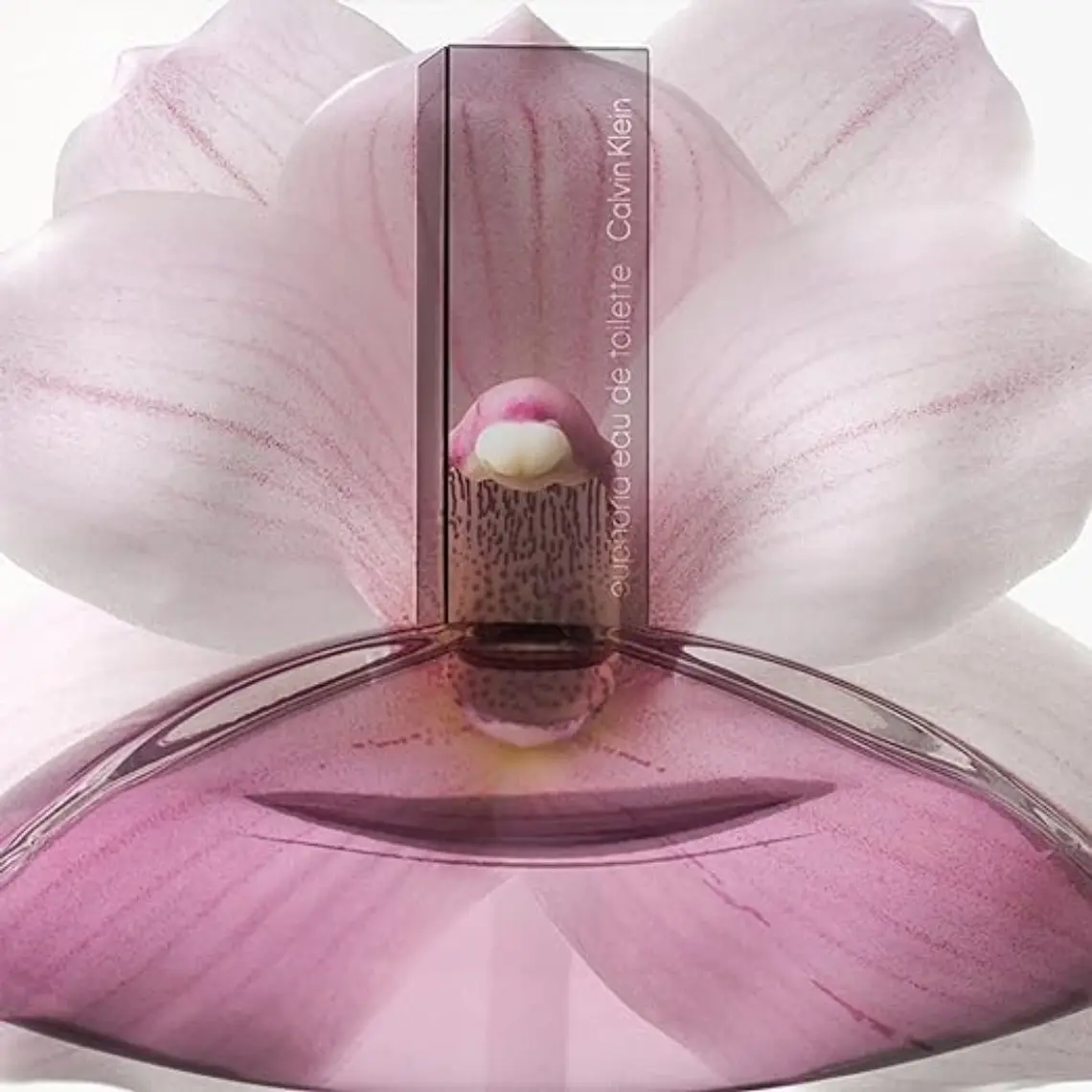 Calvin Klein Euphoria Eau de Toilette 5