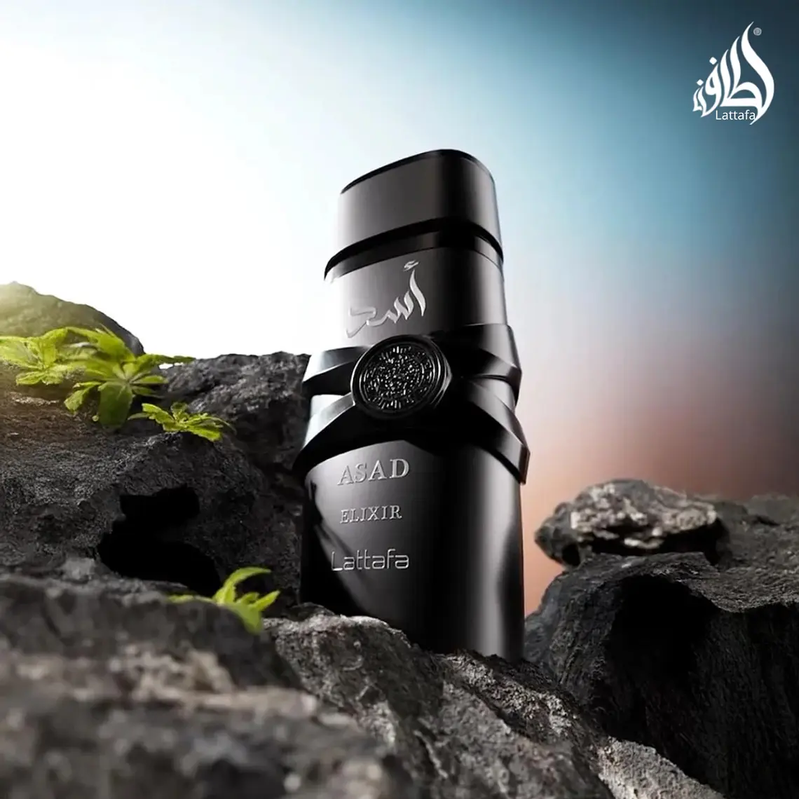 Lattafa Asad Elixir Eau de Parfum 2