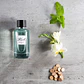 Karl Lagerfeld Hamburg Alster Pour Homme Eau de Toilette - Thumbnail 3