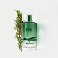 Karl Lagerfeld Bois de Cyprès Eau de Toilette - Thumbnail 3