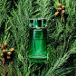 Karl Lagerfeld Bois de Cyprès Eau de Toilette - Thumbnail 2