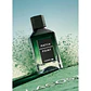 Lacoste Match Point Eau de Parfum - Thumbnail 5