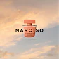 Narciso Rodriguez Ambrée Eau de Parfum - Thumbnail 4