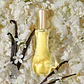 Giorgio Beverly Hills Eau de Toilette - Thumbnail 5