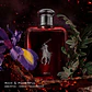 Ralph Lauren Polo Red Parfum - Thumbnail 7
