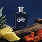 Ralph Lauren Polo 67 Eau de Parfum - Thumbnail 3