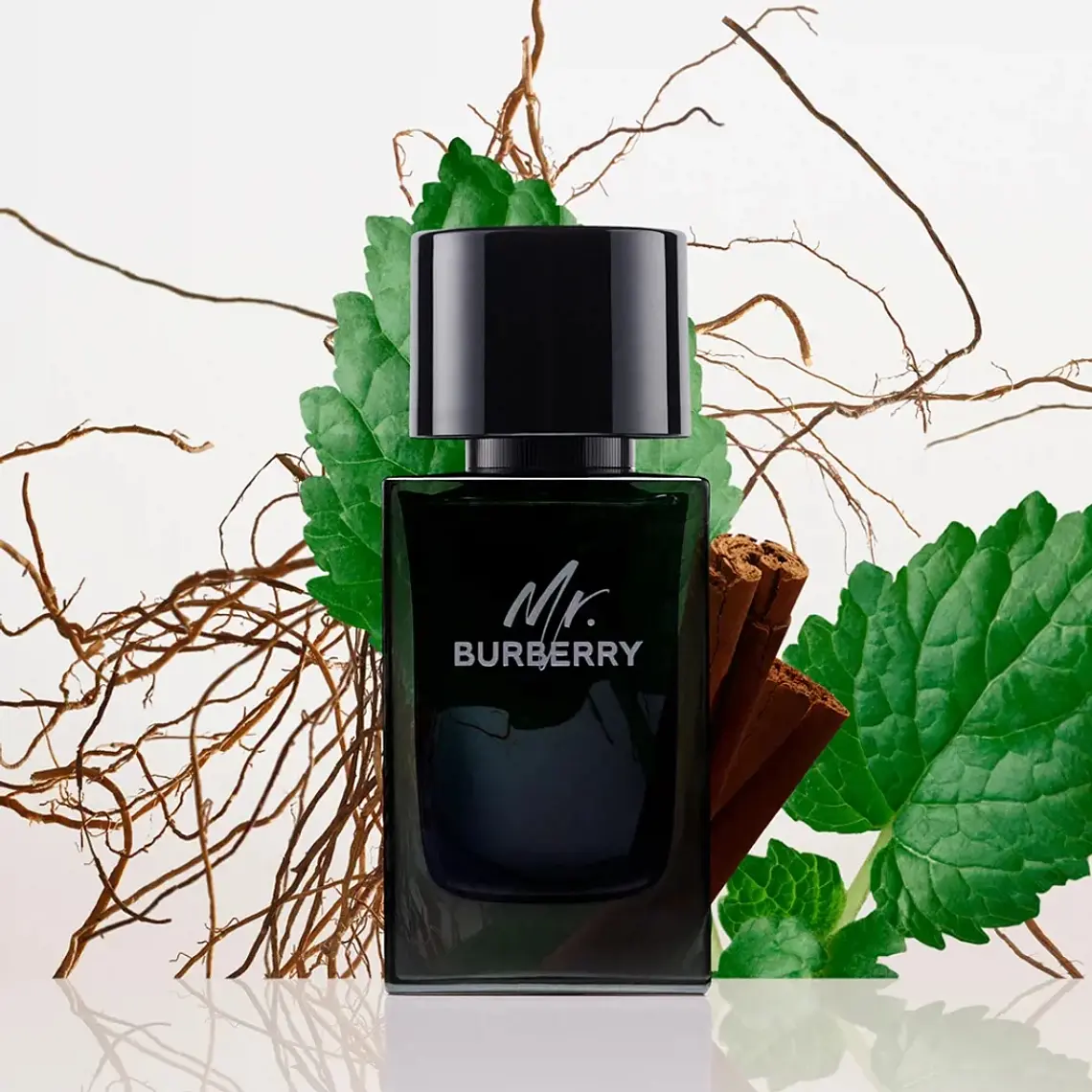 Burberry Mr. Burberry Eau de Parfum 5