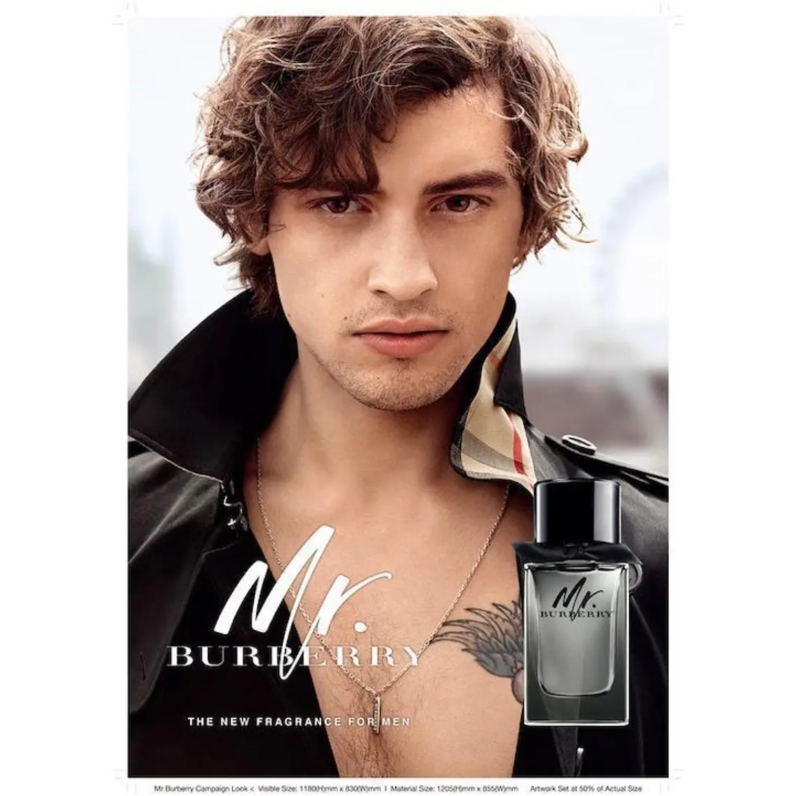 Burberry Mr. Burberry Eau de Toilette 2