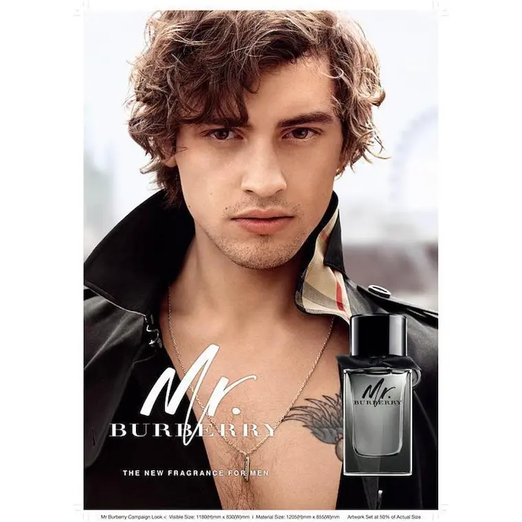 Burberry Mr. Burberry Eau de Toilette 2