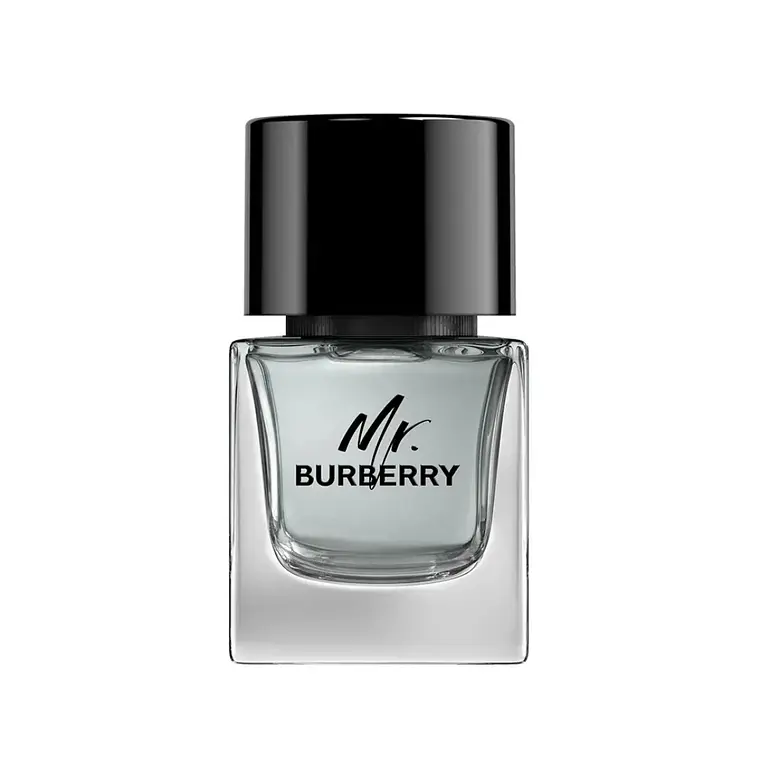 Burberry Mr. Burberry Eau de Toilette 4