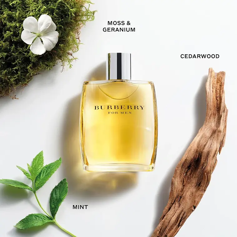 Burberry For Men Eau de Toilette 5