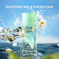 Elizabeth Arden Green Tea Eau Parfumée - Thumbnail 3