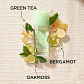 Elizabeth Arden Green Tea Eau Parfumée - Thumbnail 4