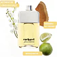 Cacharel pour L'Homme Eau de Toilette - Thumbnail 4