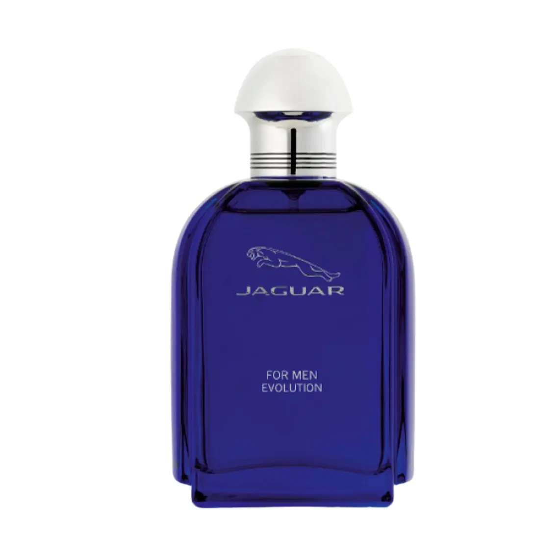 Jaguar Evolution For Men Eau de Toilette 4