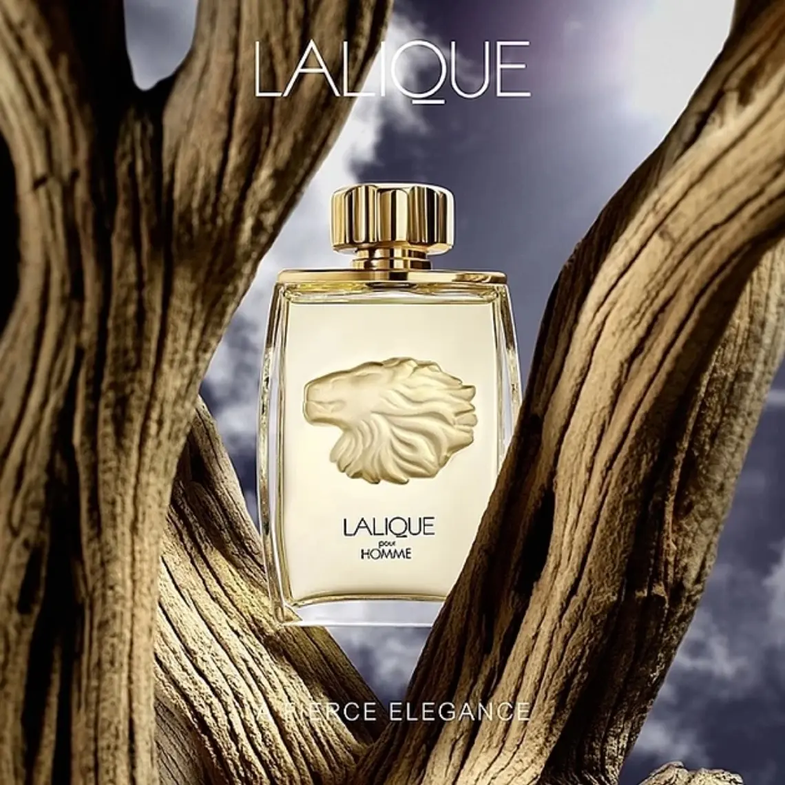 Lalique Pour Homme Lion Eau de Parfum 2