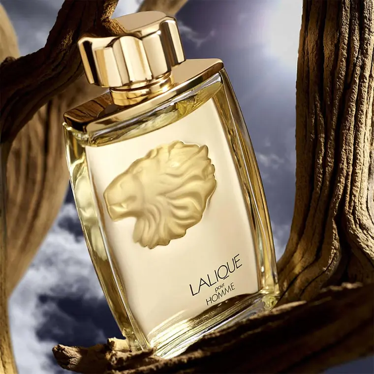 Lalique Pour Homme Lion Eau de Parfum 3