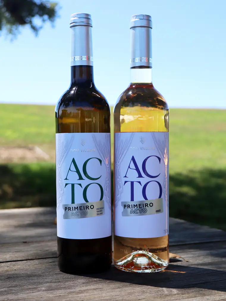 Visita à Quinta Dom Vicente + Prova de Vinhos Primeiro Acto 1