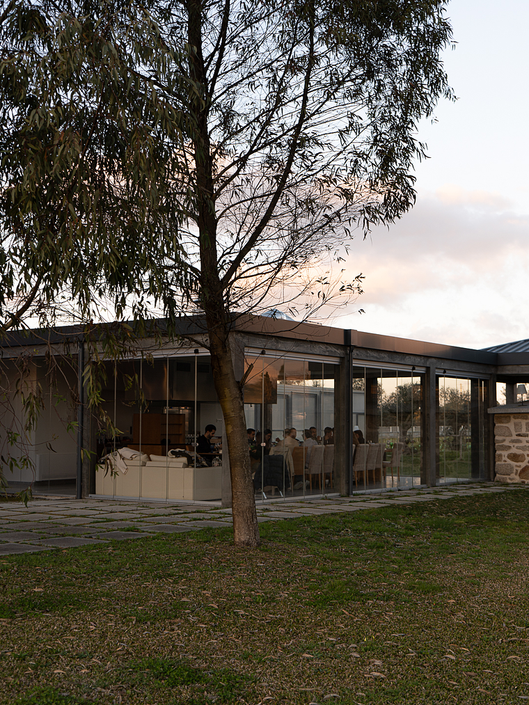 Visit to Quinta Dom Vicente 6