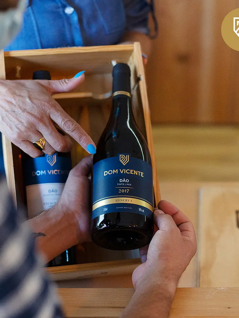 Visita à Quinta Dom Vicente + Prova de Vinhos Origens 1