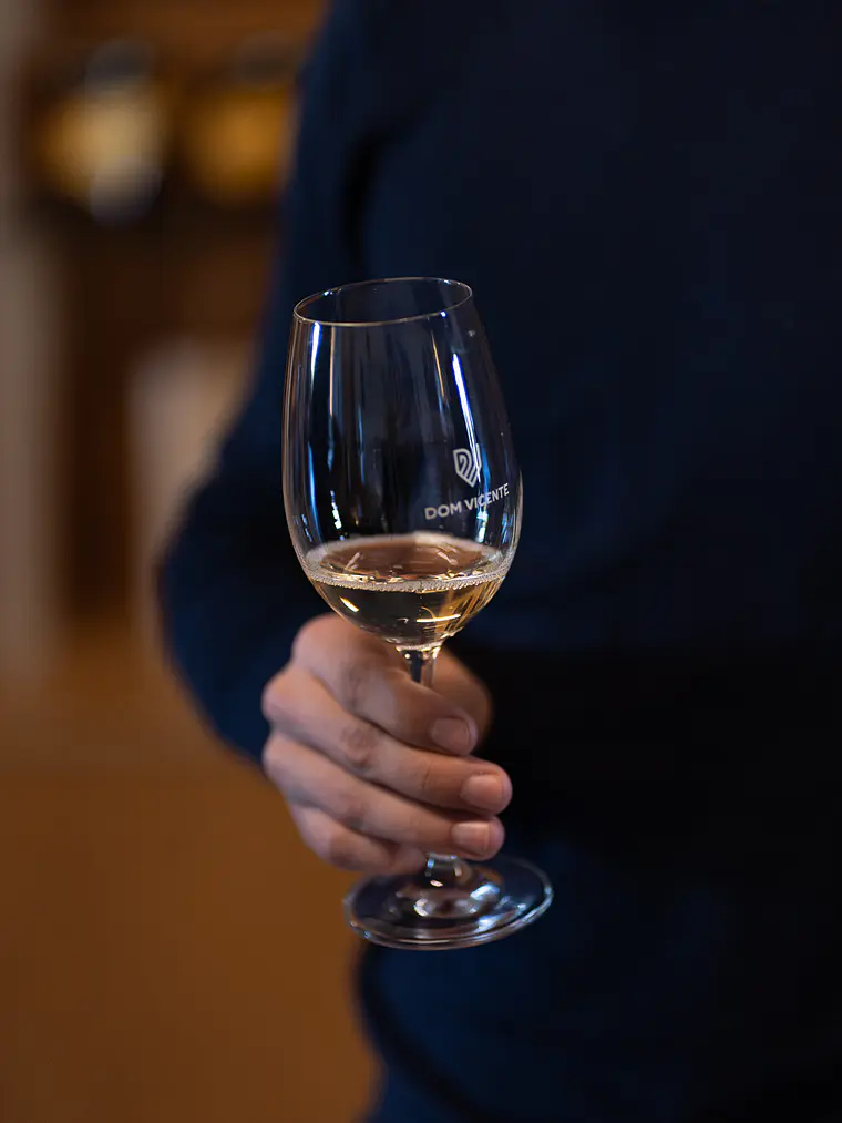 Visita à Quinta Dom Vicente + Prova de Vinhos Tradição 1