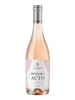 Dom Vicente Primeiro Acto