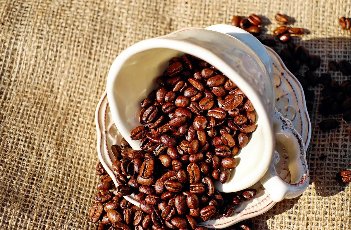 Dome Coffee