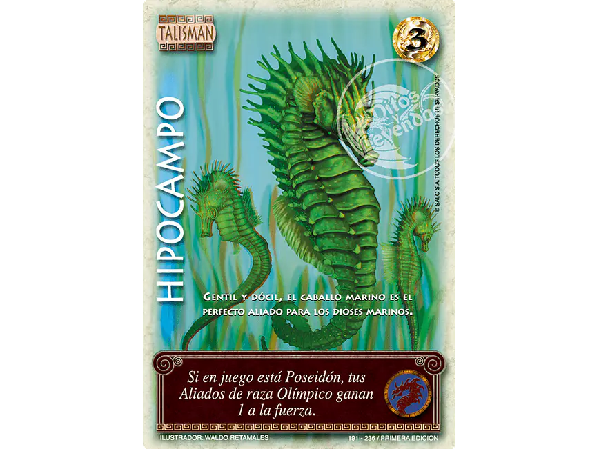 Hipocampo 1