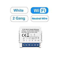 Módulo Interruptor WiFi 2 Canales Smart Life / Tuya 