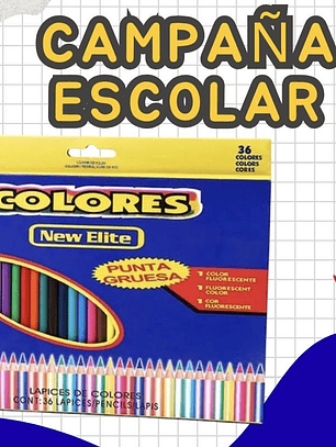 COLORES PUNTA GRUESA 36PCS 