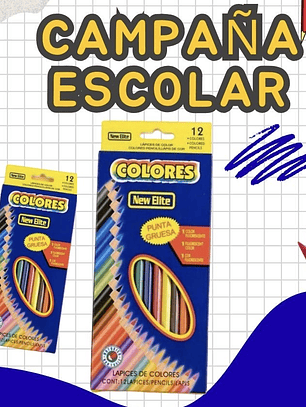 COLORES PUNTA GRUESA 12PCS 