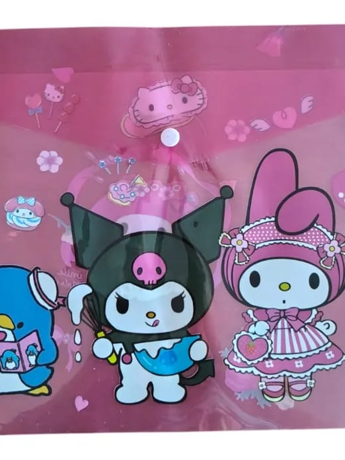 FUNDA CARPETA SANRIO 1